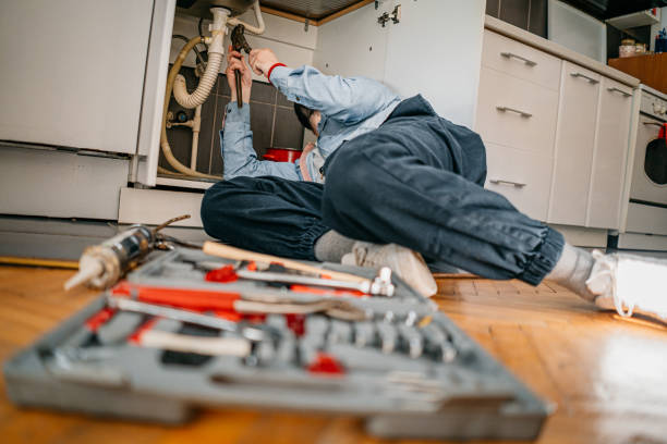 Best Local Plumber Services  in Palmer Ranch, FL