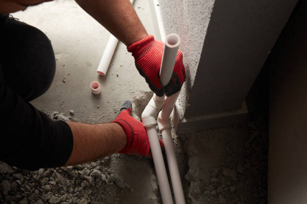 Best Clogged Drain Plumber  in Palmer Ranch, FL