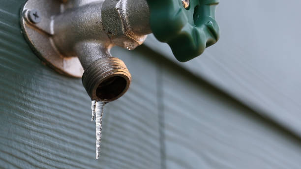Best Plumbing Repair Near Me  in Palmer Ranch, FL